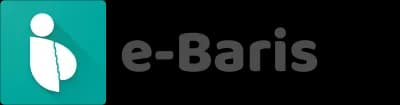 e-baris.com